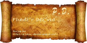 Pluhár Dávid névjegykártya