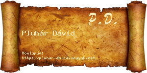 Pluhár Dávid névjegykártya