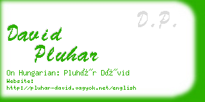 david pluhar business card